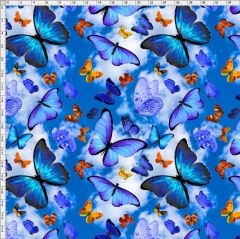 butterfly-0545